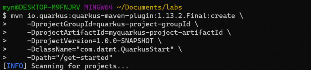 Maven start to create quarkus project