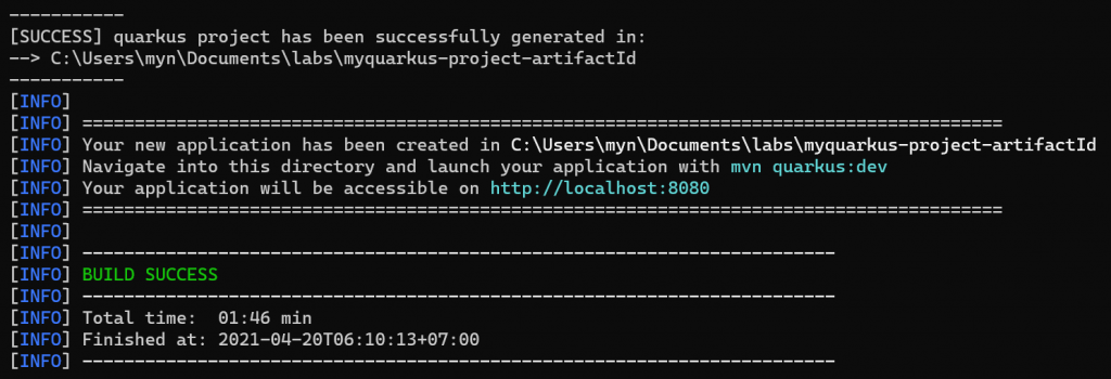 create quarkus starter project successfully.