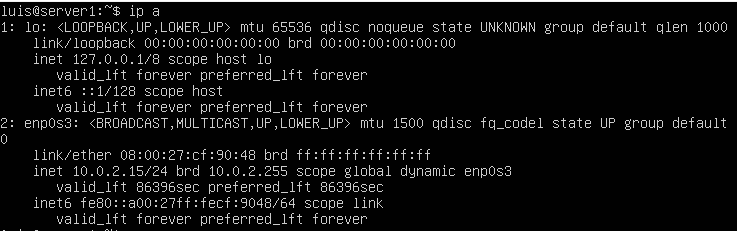 how to assign static ip virtual machine