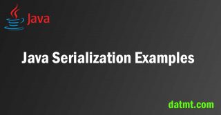 Java Serialization examples